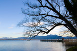 chiemsee-1.jpg