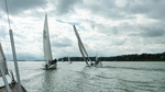 regatta-3.jpg