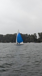 2024-09-28-kraut-rueben-044.jpg